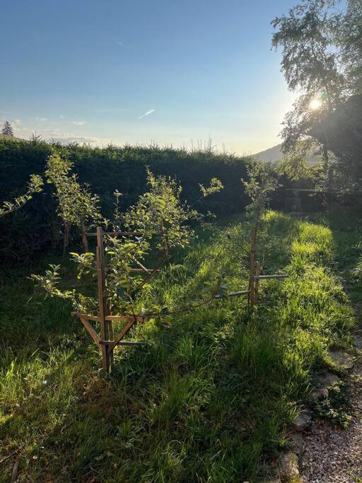 Nuit Insolite - La Cabane Du Haut-Doubs Les Gras Exteriör bild