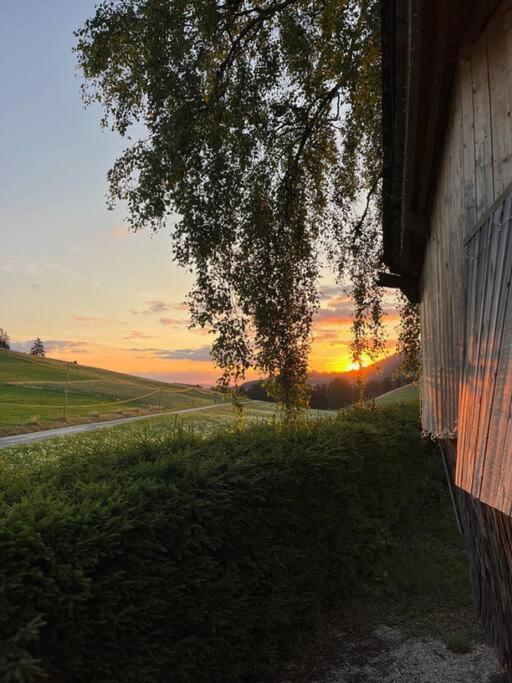 Nuit Insolite - La Cabane Du Haut-Doubs Les Gras Exteriör bild