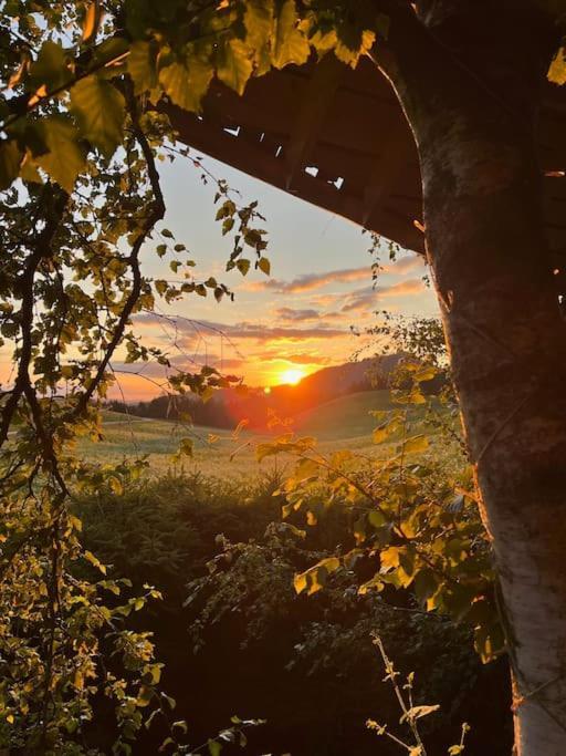 Nuit Insolite - La Cabane Du Haut-Doubs Les Gras Exteriör bild