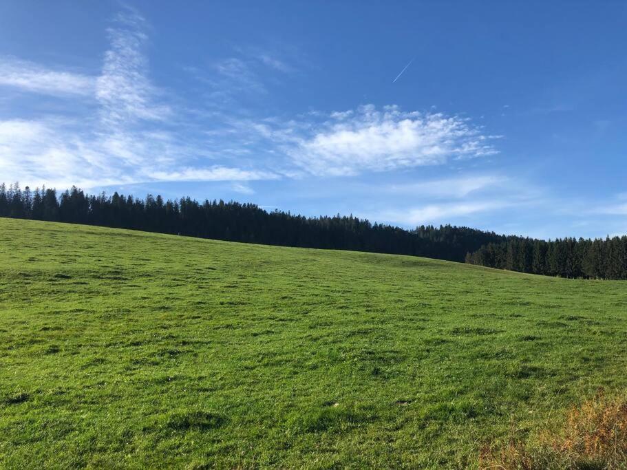 Nuit Insolite - La Cabane Du Haut-Doubs Les Gras Exteriör bild